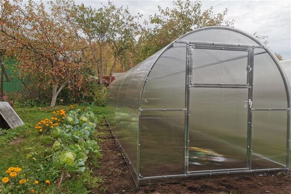 Теплица «Выгодная»