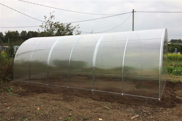 Теплица «Стандарт»